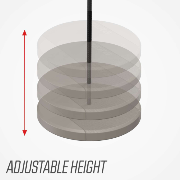 Berg Disc Swing